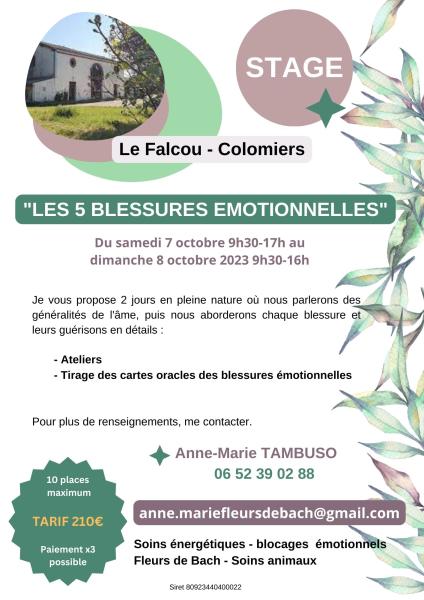 blessures