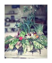 Compo de légumes Juin 25